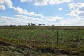 Участок в Борках