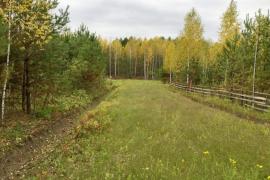 Участок в лесу