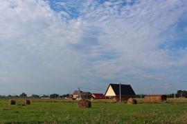 Два смежных участка в Станице Криводанова