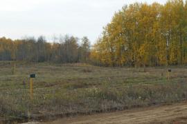 Участок в Малиновке