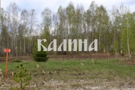 Участок на краю леса