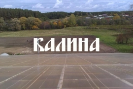 Тепличное хозяйство 2 га