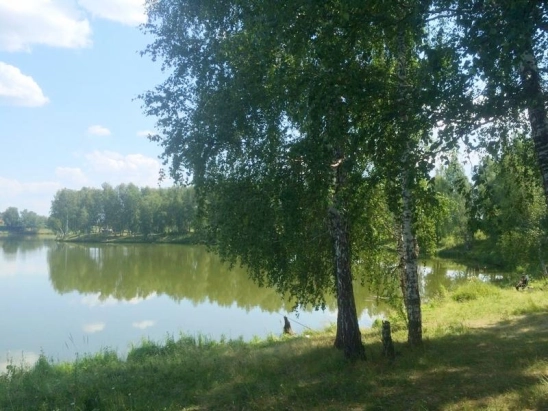 На берегу озера